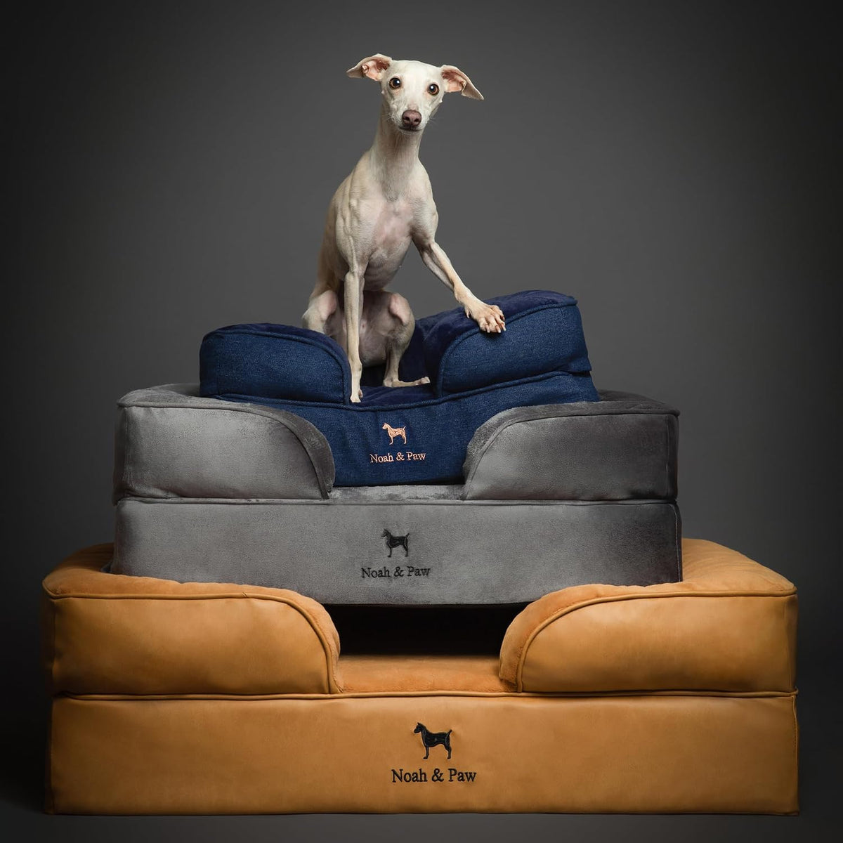 NOAH & PAW XXL Dog Bed, Orthopedic Memory Cooling Foam (2X Base) 55x45x11in