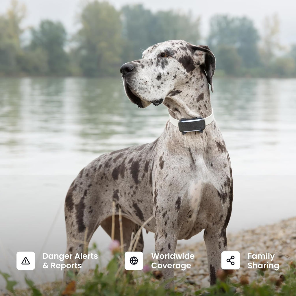 Tractive XL Smart Dog GPS Tracker | Live Pet Tracker with Virtual Fence | Vital Signs Monitoring of Heart & Respiratory Rate | Up to 6-Weeks Battery Life | Dog Collar Attachment (Black)