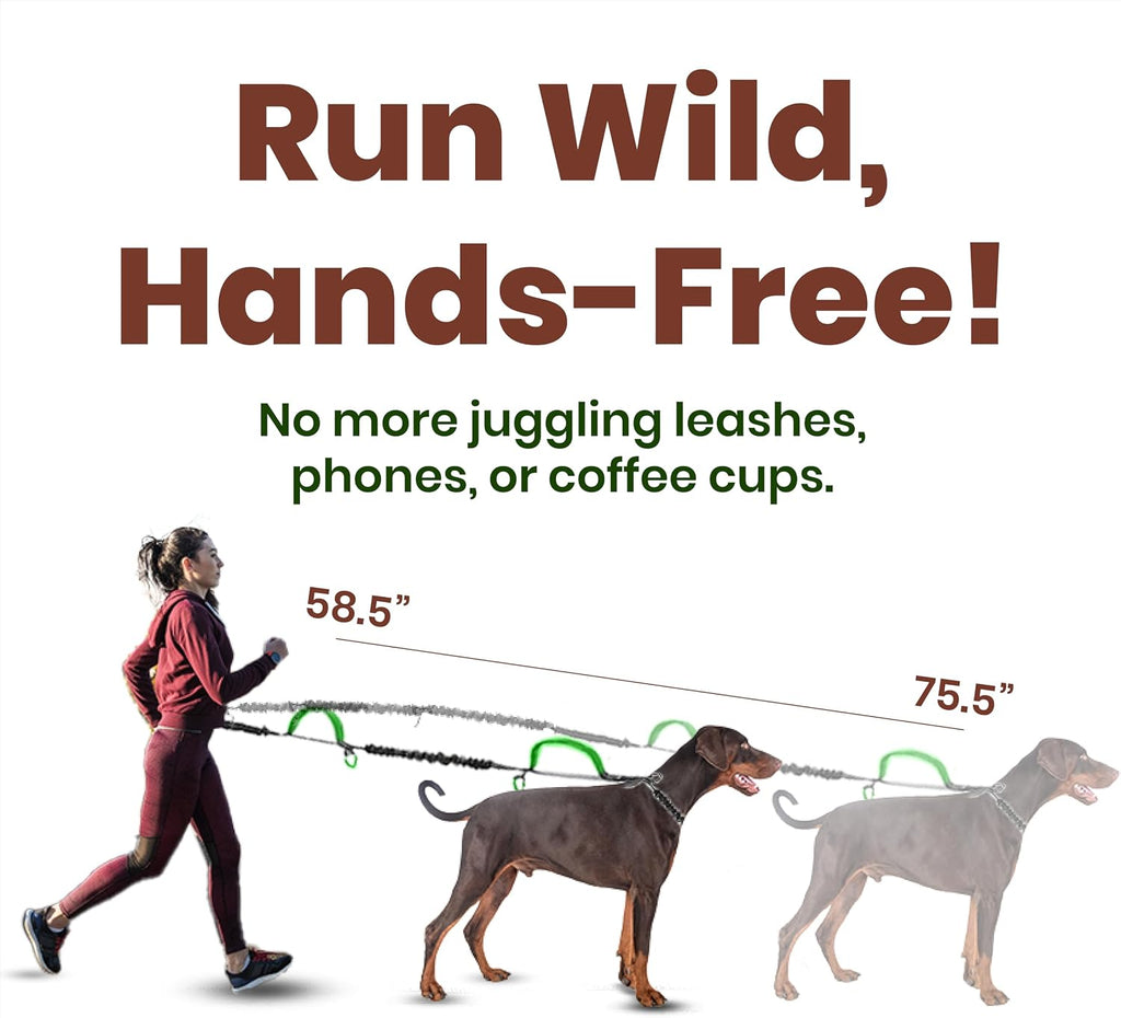 Hands Free Dog Leash 2 Dogs with Padded Handles and Zipper Pouch for Treats