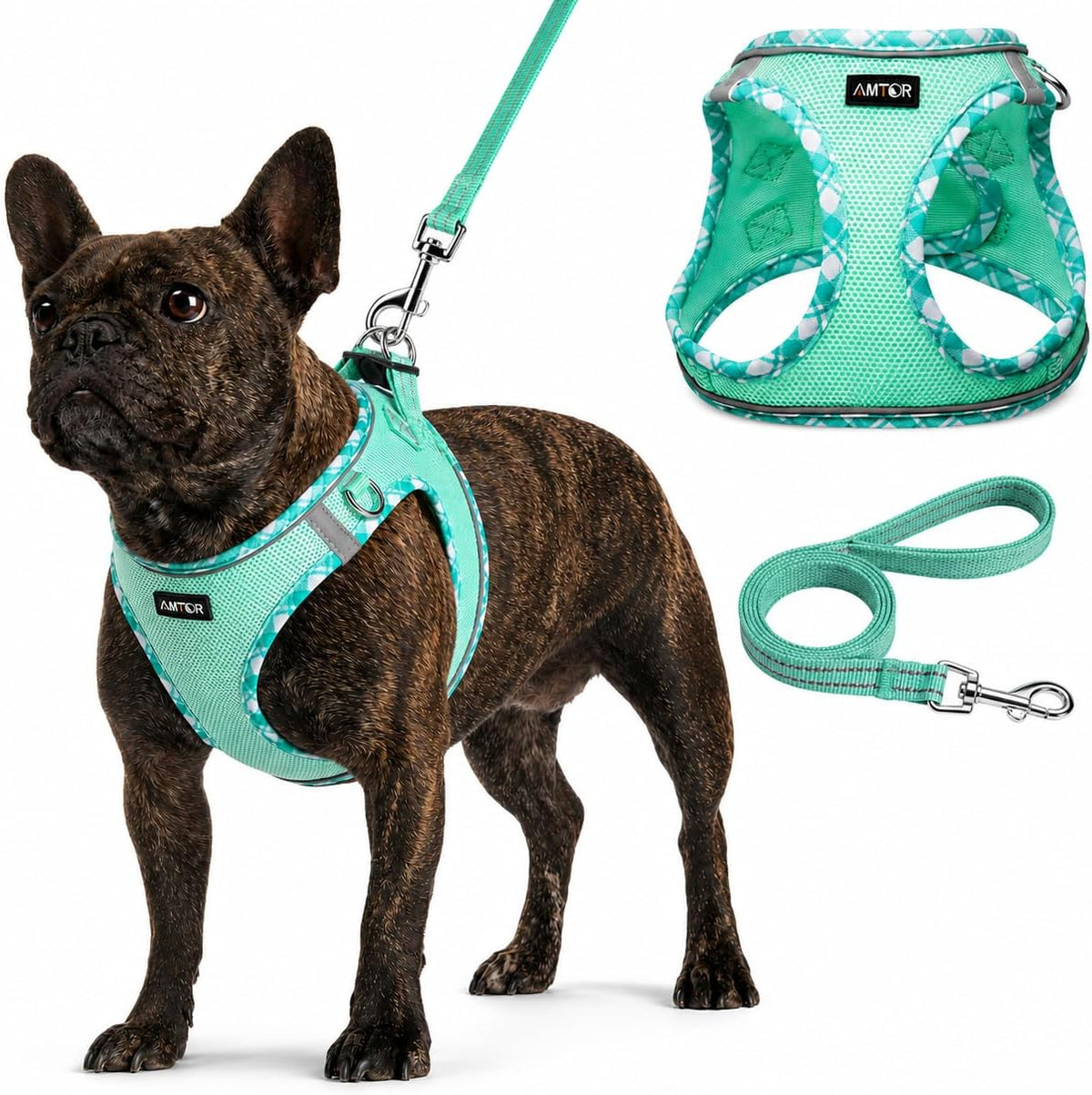 AMTOR Small Dog Harness with Leash Set, No Escape Easy Walk Puppy Harnesses for Training Walking, Step-in Reflective Soft Dogs Vest for XS S Medium Extra-Small Large Sized Dog(Green,S)