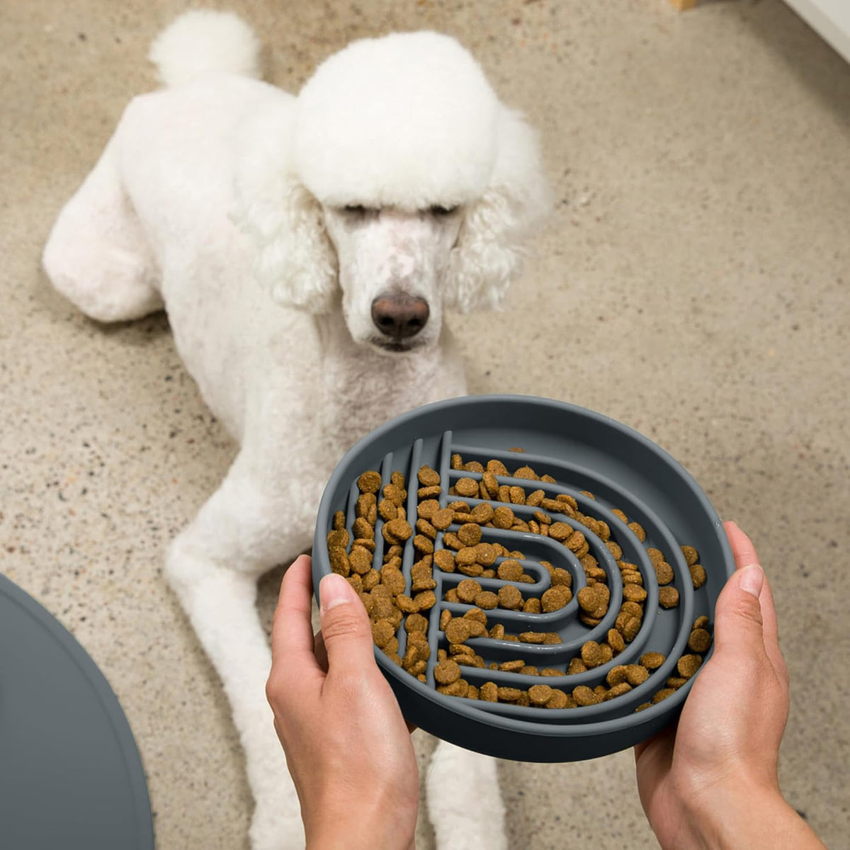 Slow Feeder Dog Bowl - Silicone Dog Bowl, Large, 9.5" x 1.5" - Charcoal