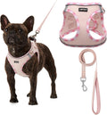 AMTOR Small Dog Harness with Leash Set, No Escape Easy Walk Puppy Harnesses for Training Walking, Step-in Reflective Soft Dogs Vest for XS S Medium Extra-Small Large Sized Dog(Pink,XL)