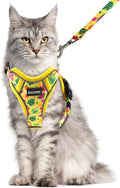 Halypet Cat Harness and Leash Set, Escape Proof Adjustable Harness