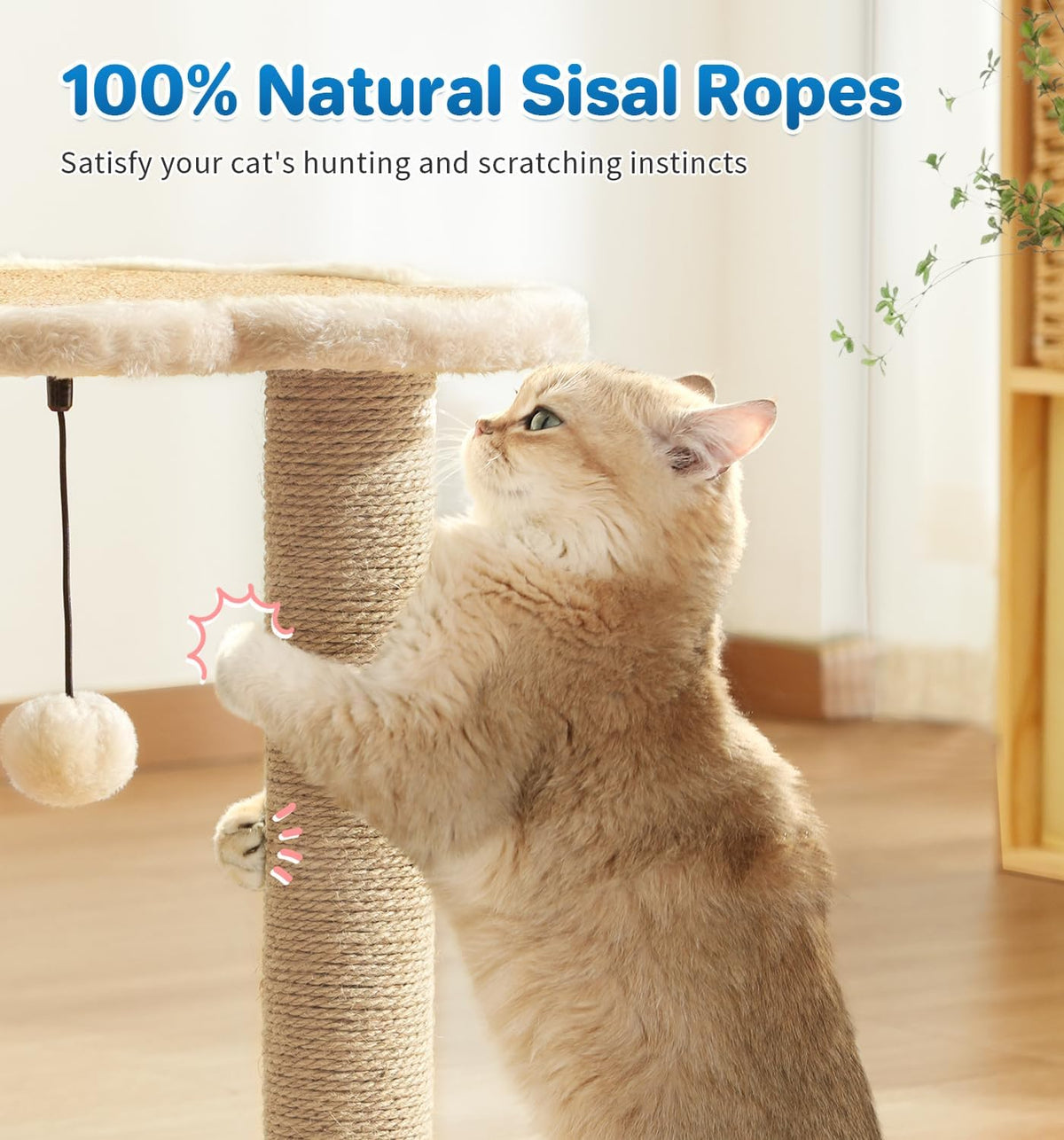 Made4Pets Kitten Toy Scratching Post with Self Groomer for Indoor Cats