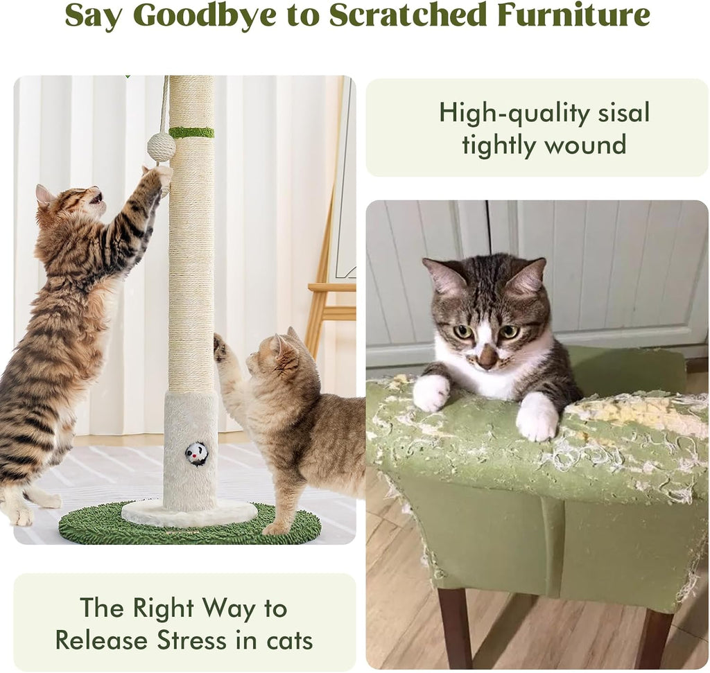 Woochpet Cat Scratching Post for Indoor Cats,36" Tall Cat Scratcher （White）