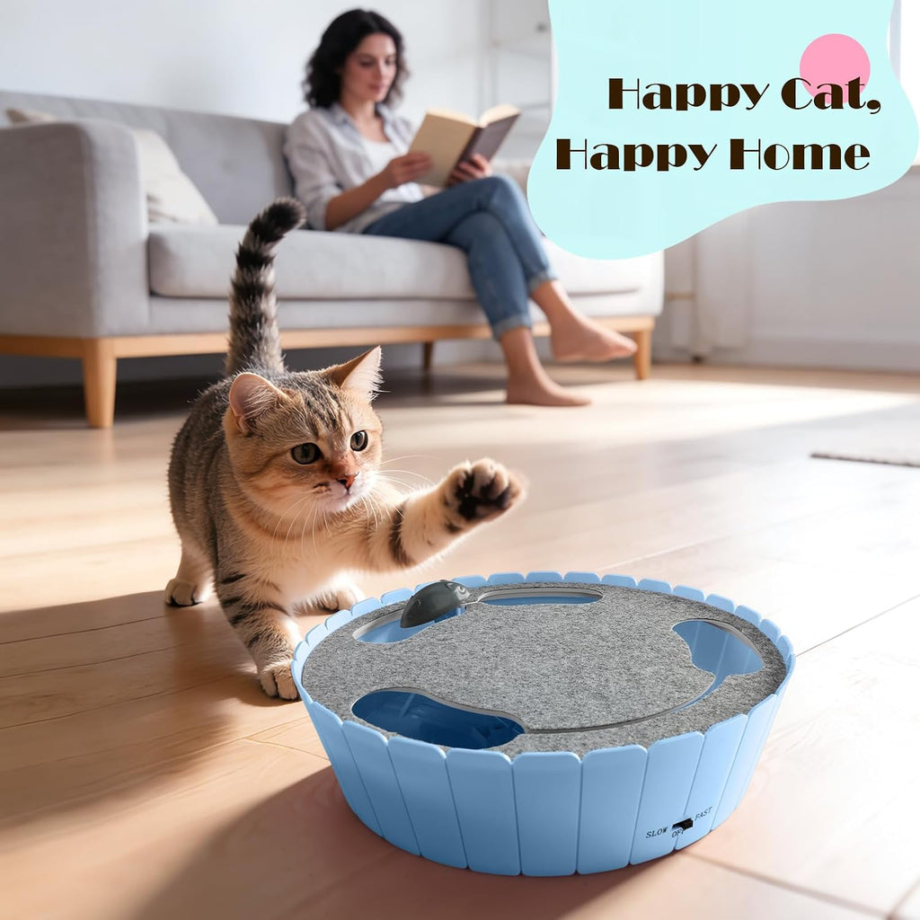 Pawaboo Interactive Cat Toy with Running Mouse, Automatic Track Kitten Toy