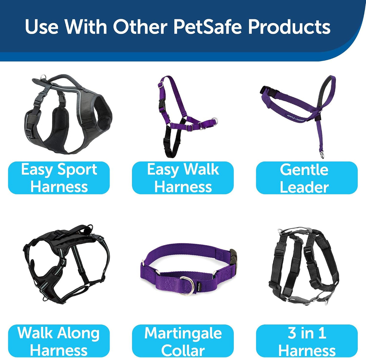 PetSafe Nylon Dog Leash - Strong, Durable, Traditional Style Leash with Easy to Use Bolt Snap - 1 in. x 6 ft., Deep Purple
