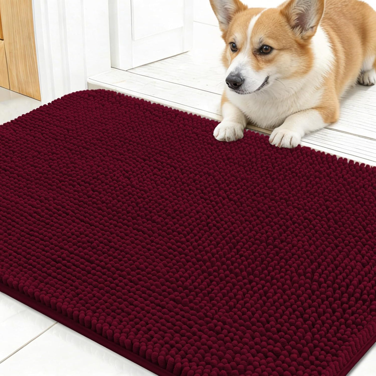 OLANLY Dog Door Mat for Muddy Paws 24x16, Super Absorbent Chenille Mud Mat