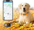 GPS 4G Tracker & Health Monitoring for Dog with LED Light Up,Sounding, Waterproof GPS Location & Smart Pet Activity Tracker, Super Long Standby time, Unlimited Range use for Dogs Collar