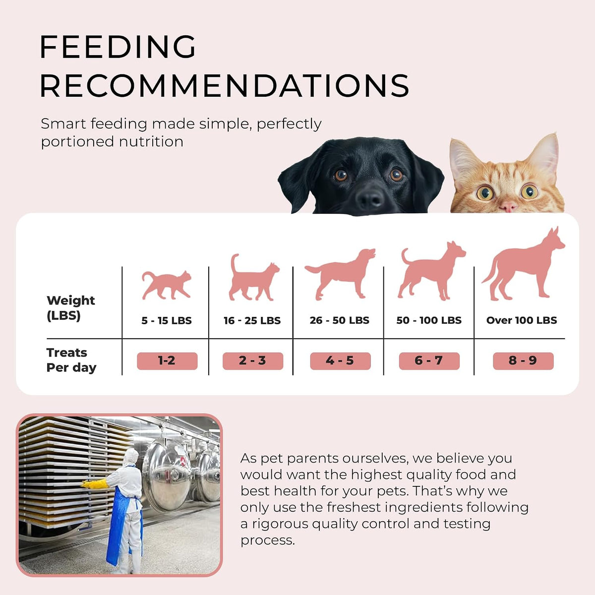 BLACK FOX Freeze-Dried Beef Liver Dog Treats & Cat Treats | Beef Liver Treats for Dogs | 260 Treats, 4oz | Single Ingredient, Raw, Grain-Free, Human Grade | High Protein Training Treats
