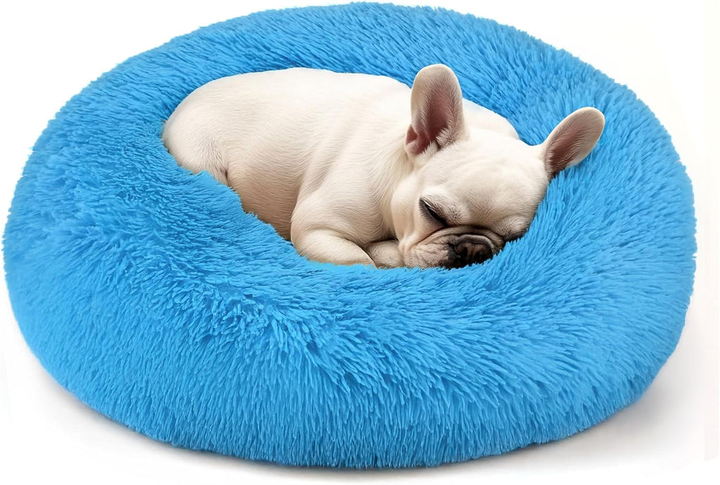 Hoewina Dog & Cat Bed, 20in Cat Beds for Indoor Cats (Light Blue)