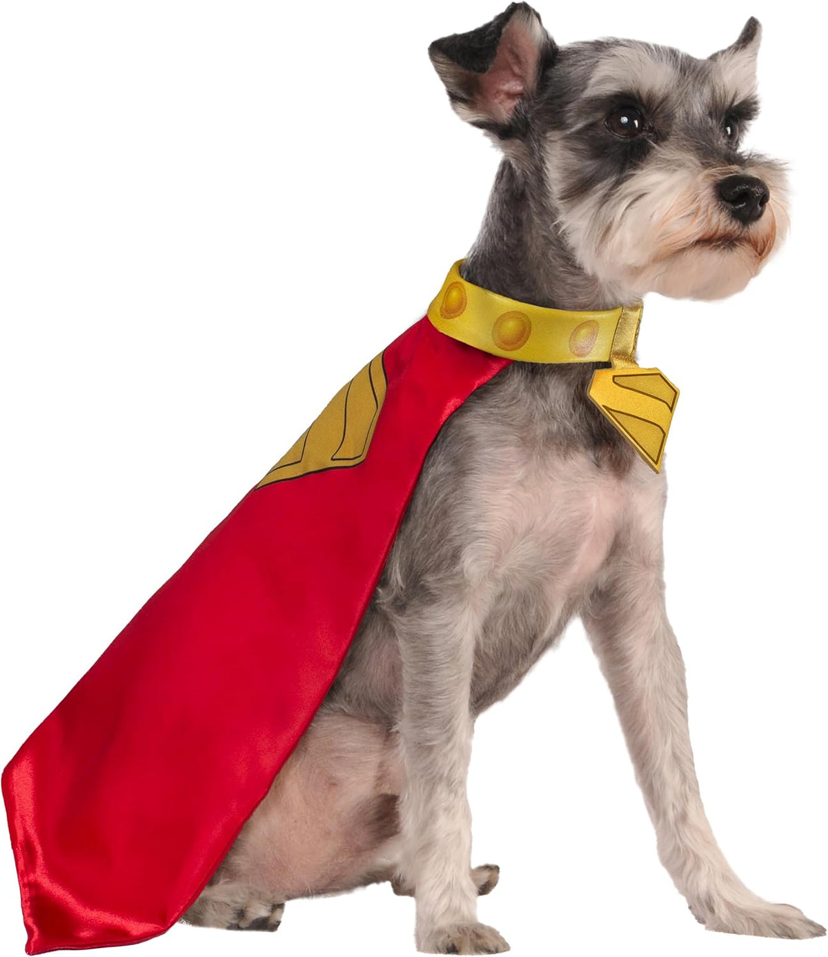 Rubies DC Superman Movie (2025): Krypto Pet Cape & Collar for Dogs or Cats, Extra Large
