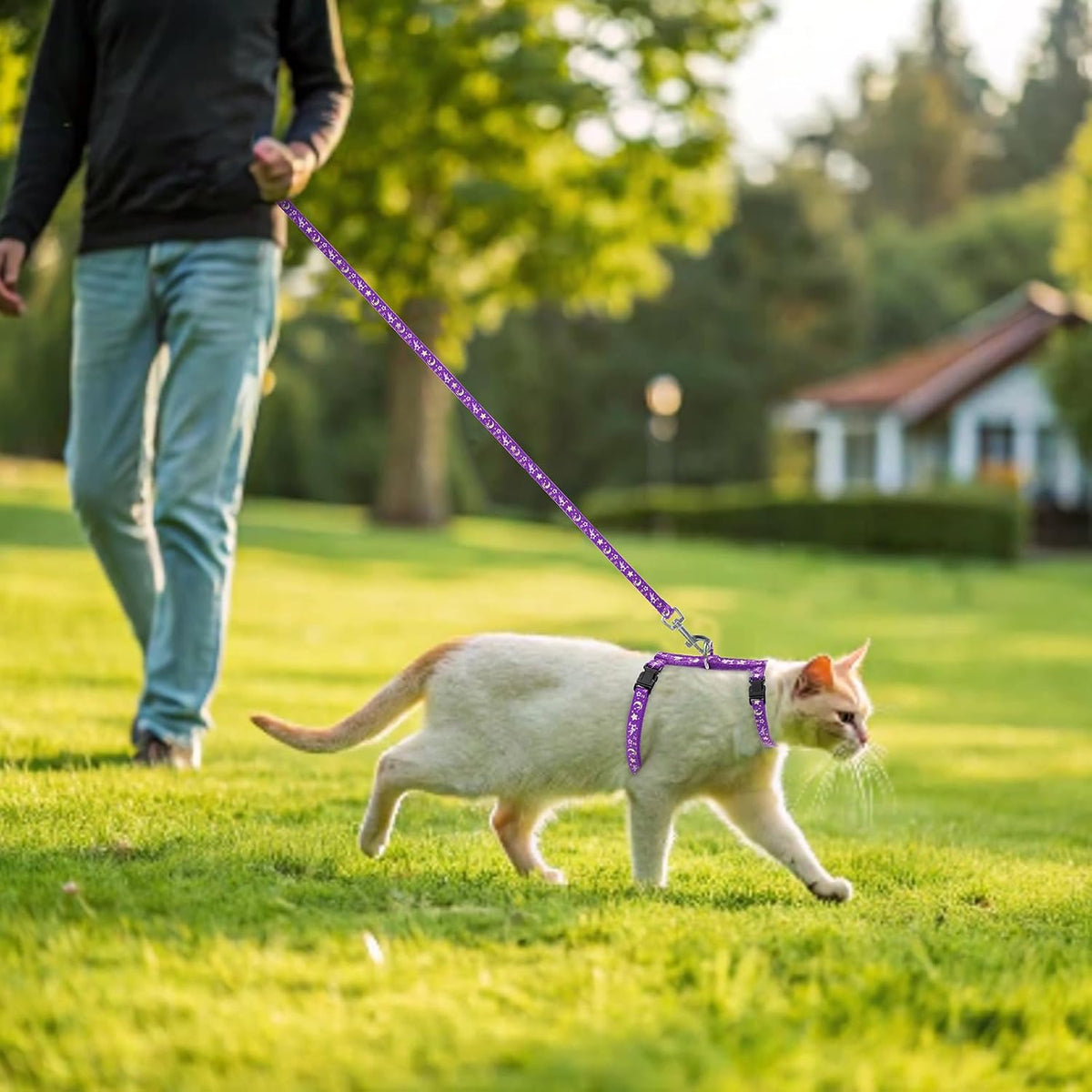PAWCHIE Cat Harness with Leash and Collar Set - Escape Proof Adjustable H-shped Cat Harness with Star and Moon Pattern Glow in The Dark for Kitty Outdoor Walking