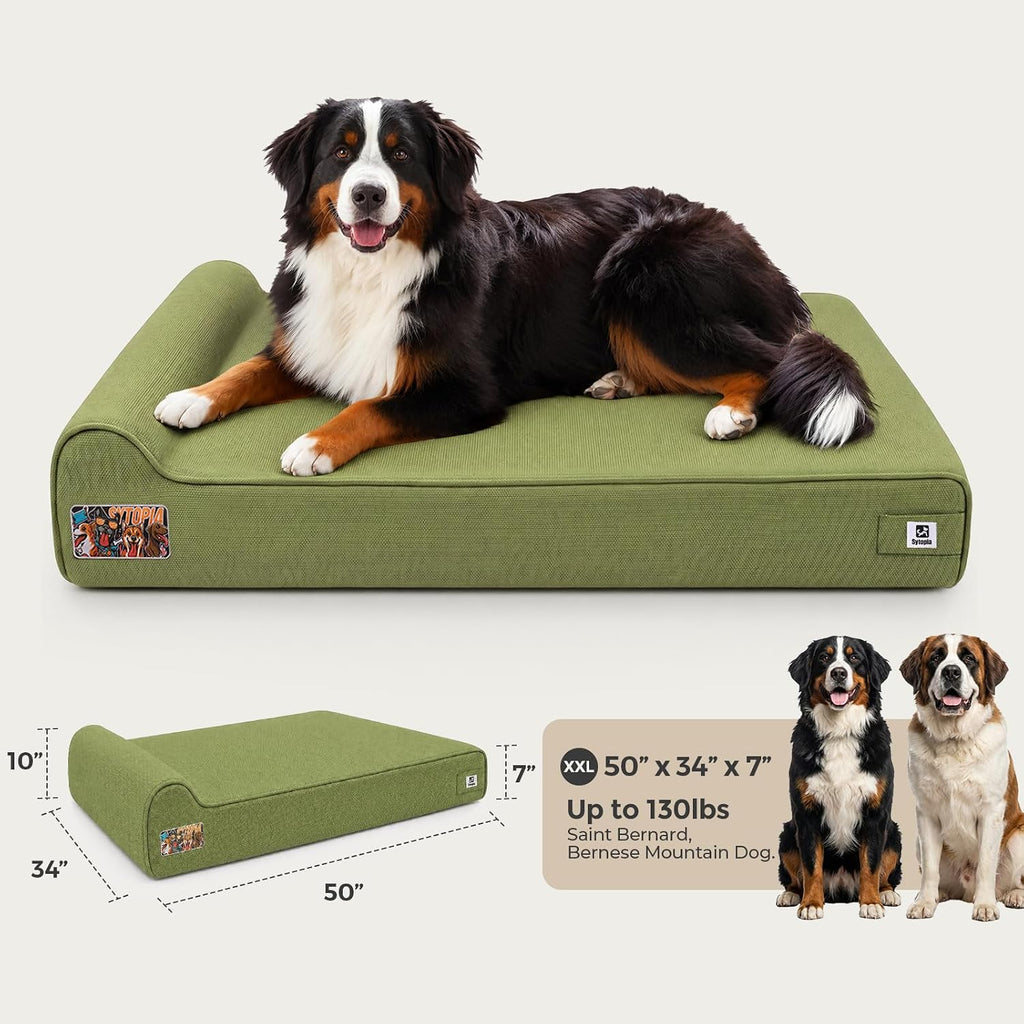 Sytopia Orthopedic Dog Beds for Extra Large Dogs, 7" Extra Thick Memory Foam Canvas Pet Bed with Durable Chew Proof Fabric Cover, Waterproof Liner & Washable Cover, Nonskid Bottom, Green