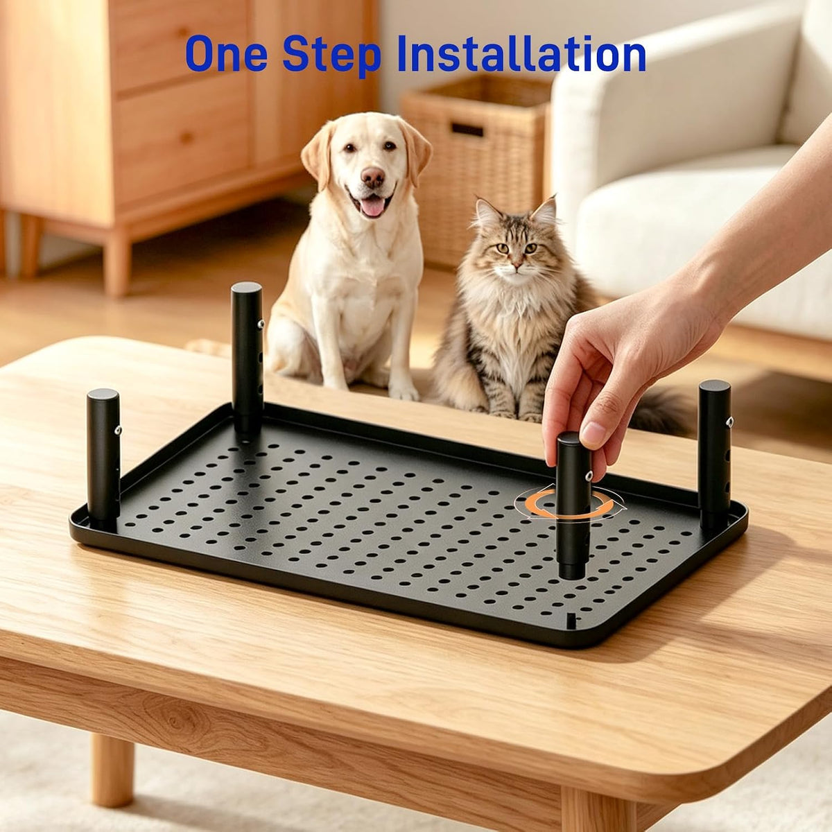 Elevated Cat Food Stand, Height Adjustable for Multi-Size Pet
