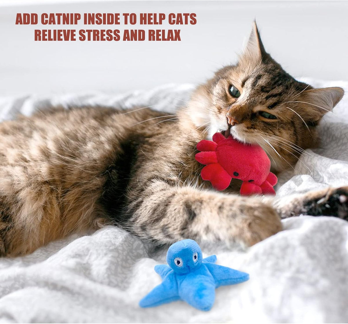 Andiker Cat Catnip Toys, 2Pcs Soft Crab&Starfish Plush Cat Toys for Indoor Cats Cute Catnip Chew Toys PP Cotton Filled Pet Toys for Kitten Gifts and Cat Lovers Interactive Catnip Toys (Crab+Starfish)