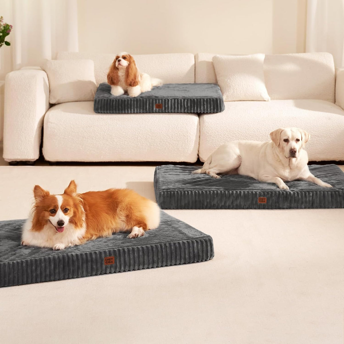 EHEYCIGA Orthopedic XL Dog Beds Large Sized Dog, 44"x32" Washable Pet Bed