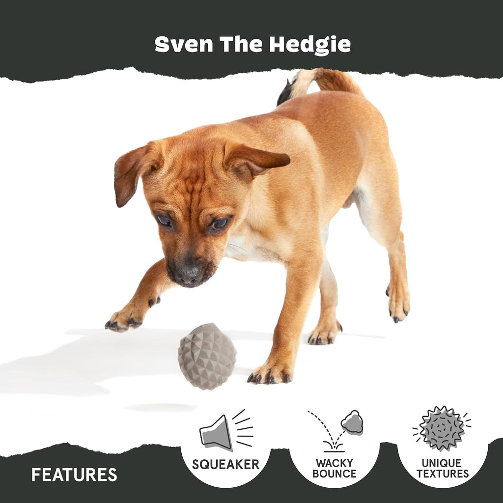 BarkBox Sven the Hedgie Rubber Dog Toy - Toy for Small Dogs | Squeaky Natural Rubber Chew Toy with Soft Spike Textures | Durable