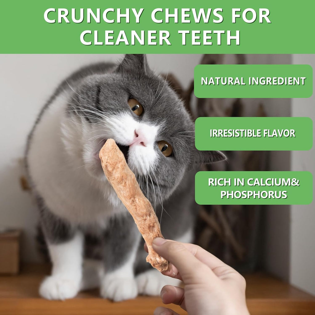 Freeze-Dried Raw Chicken Necks Dogs Treats- Single Ingredient High Protein Training Treats & Dental Chews - Grain Free, Gluten Free, 6.5 oz (Chicken Necks)