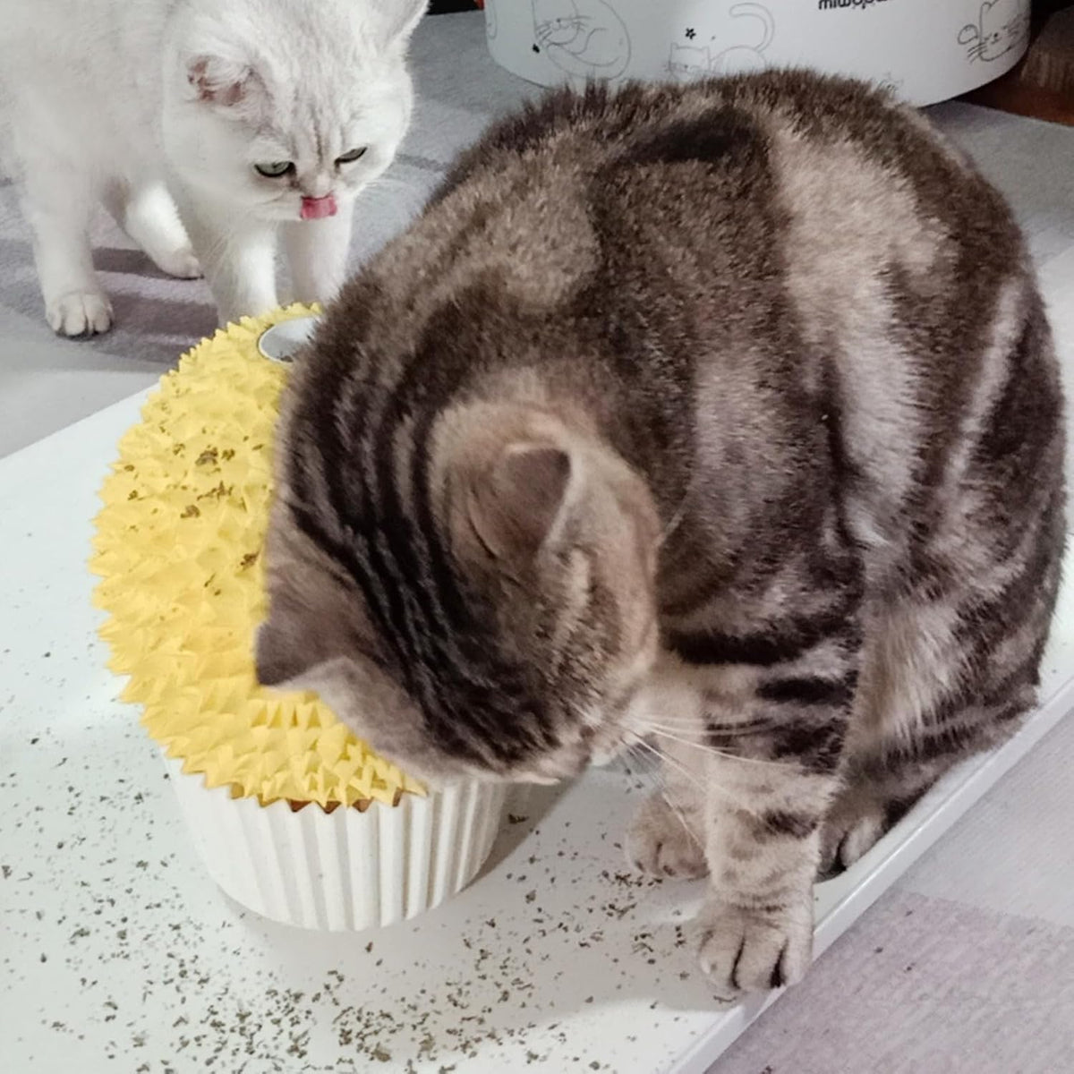 miwoowim Durian Catnip Feeder & Face Scratcher, Wall Corner Self Groomer