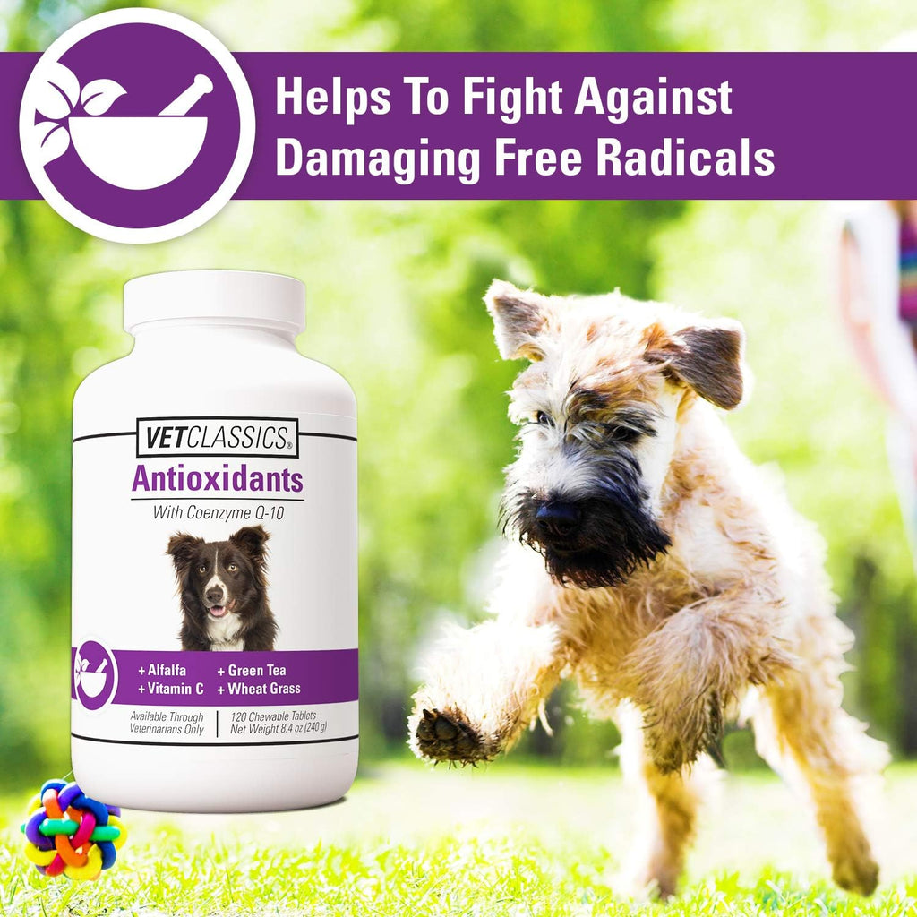 Vet Classics Antioxidants Supplement with Coenzyme Q-10 for Dogs - 120 Ct