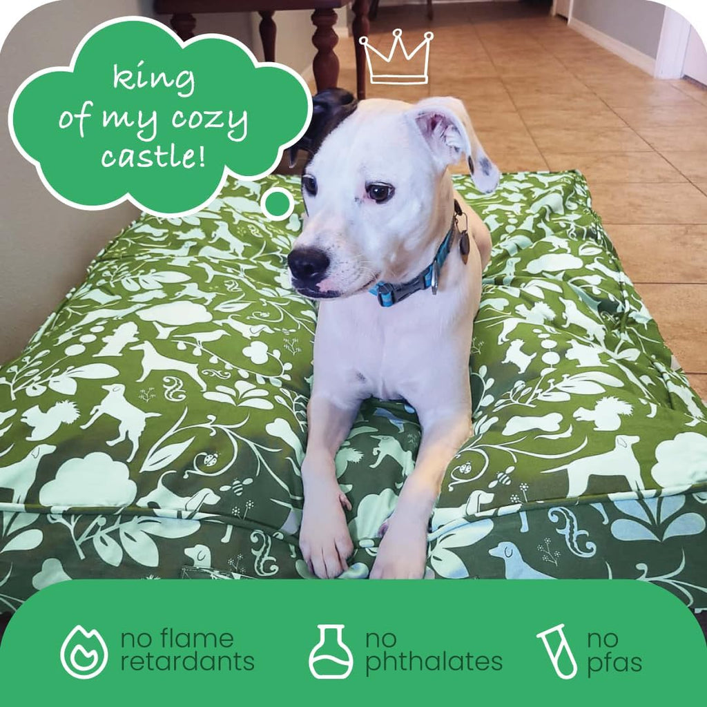 Molly Mutt Light Green Dog Bed Cover, Non-Toxic & 100% Cotton, 22"x27"x5"