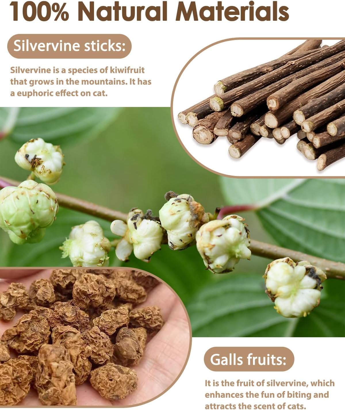 Tocirelo Silvervine Stick for Indoor Cats, Kitten Chew Rope Toys