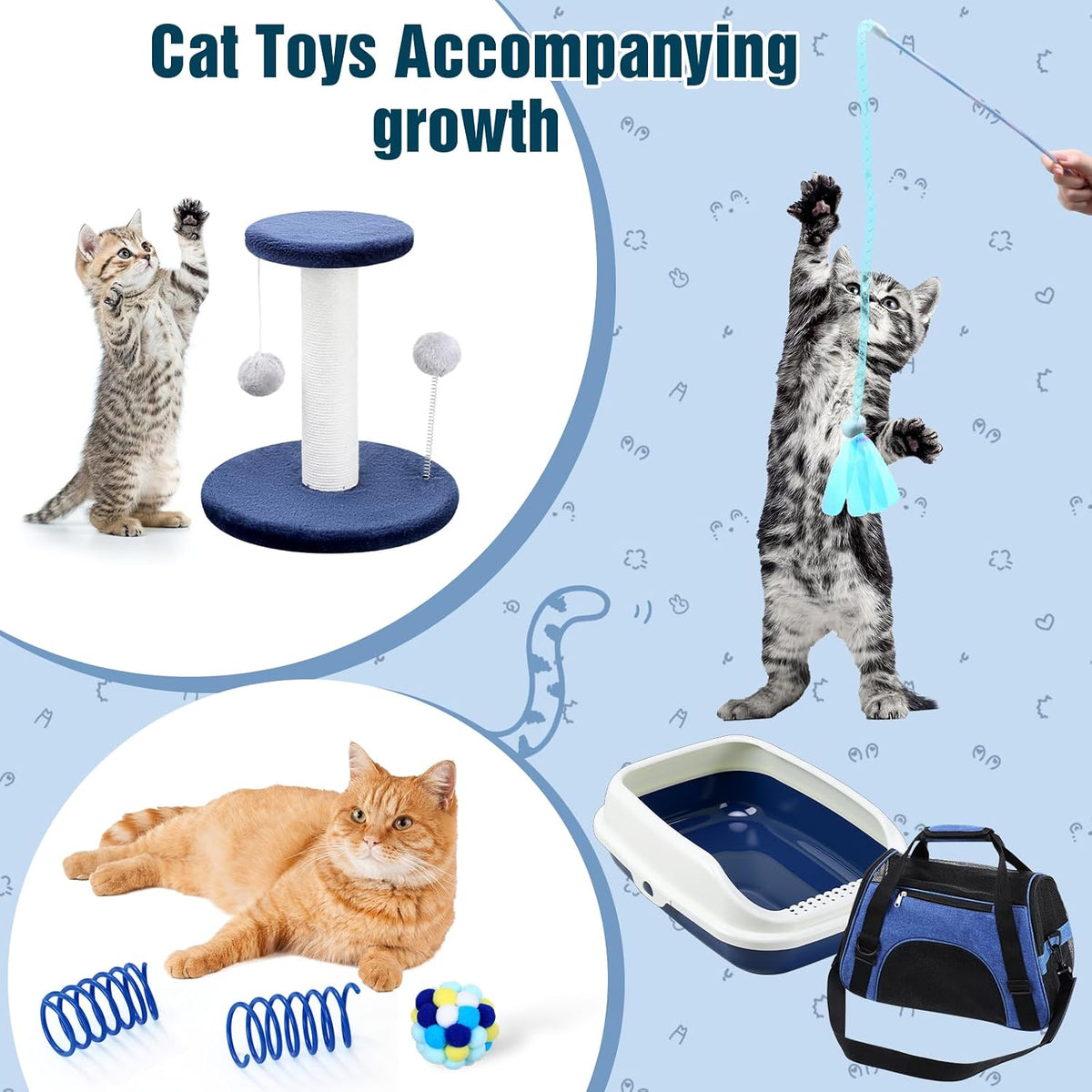 Eccliy 10 Pcs Kitten Starter Kit for Indoor, Classic, Medium, Dark Blue