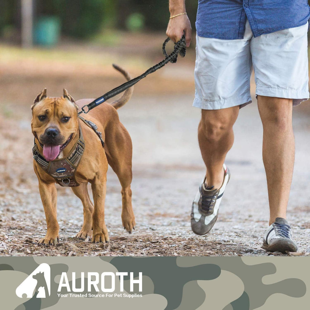 AUROTH Bungee Dog Leash for Large Dogs, No Pull for Shock Absorption