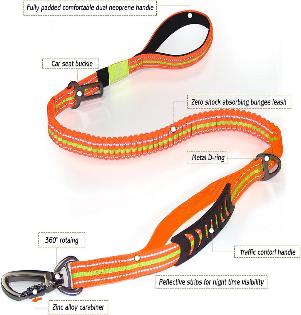 Heavy Duty Bungee Dog Leash with Locking Carabiner for Large Dogs