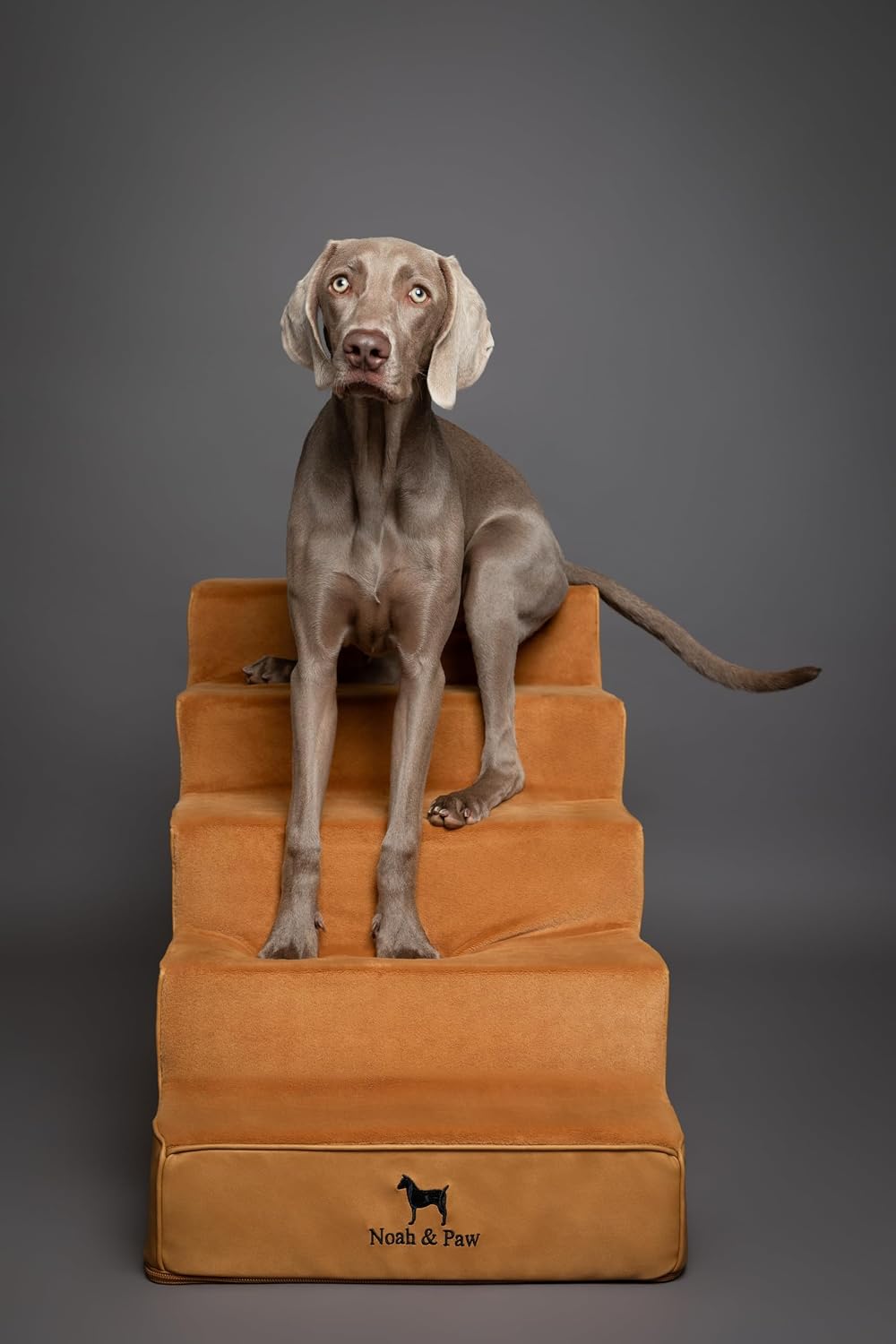 Noah & Paw Dog Stairs for Large Dogs, Up to 150lb, Wide Dog Ramp for Bed