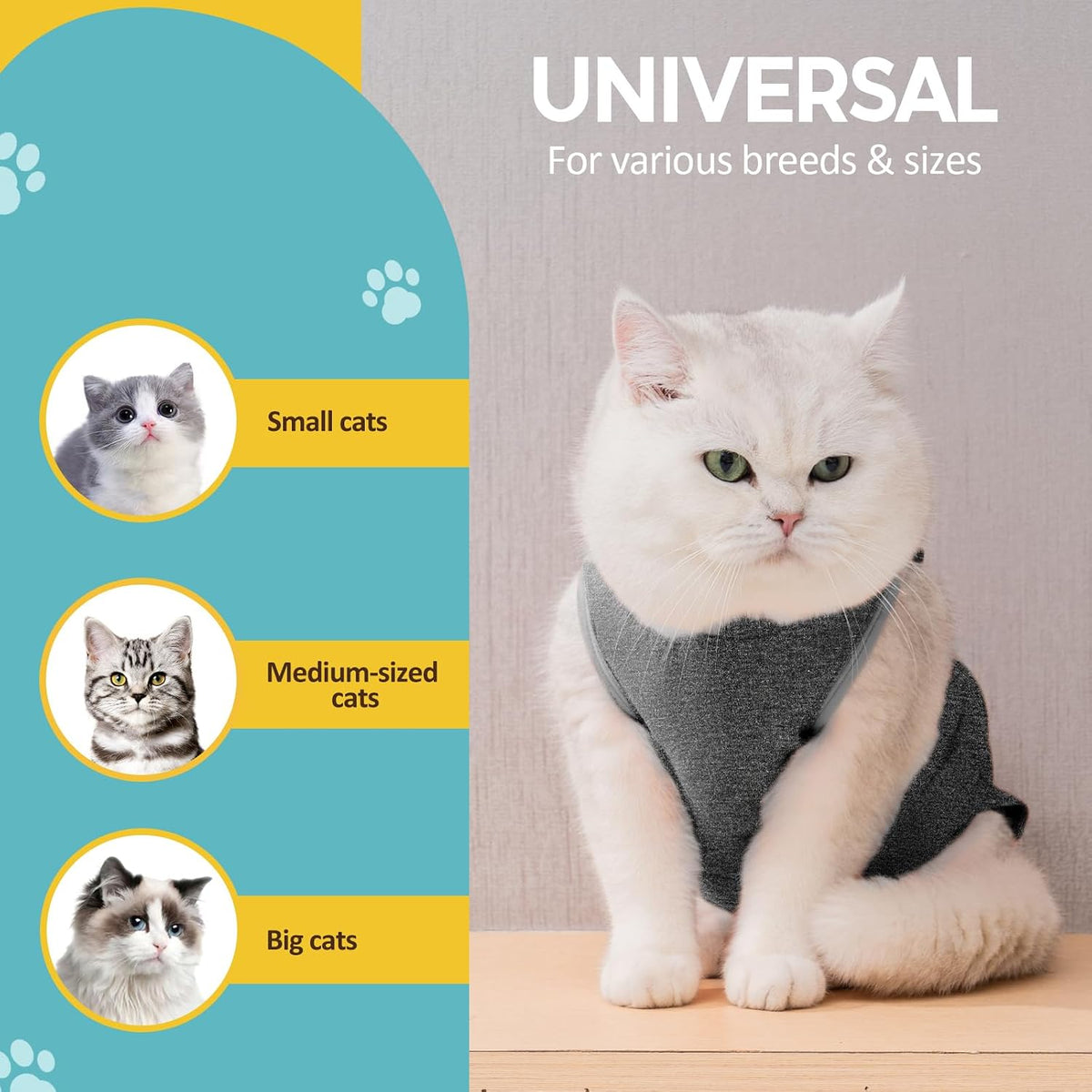 Avont Cat Recovery Suit - Kitten Onesie for Cats After Surgery