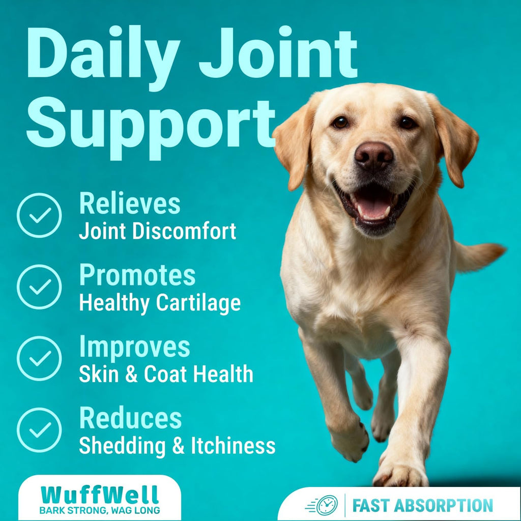 WuffWell Liquid Collagen for Dogs, Joint Support for Dogs, USA Made