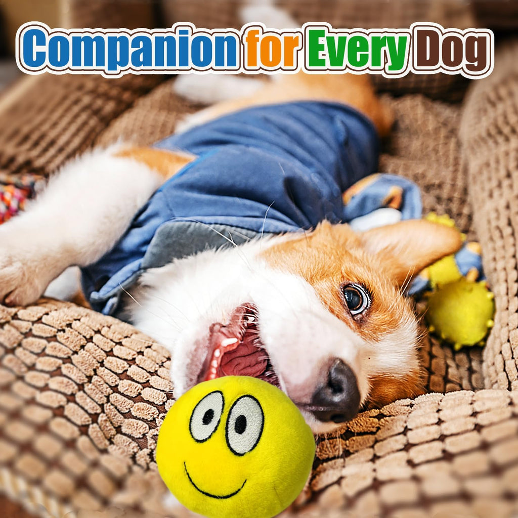 HOLYSTEED Plush Squeaky Dog Toys for Small, Medium Breeds, 2.9" Flat Balls | 3.0"x2.9"x2.3" Assorted Flat Balls 4pcs, Soft Puppy Squeak Toy Stuffed, Smile Face Pet Toy with Squeaker for Indoor, Outdoor
