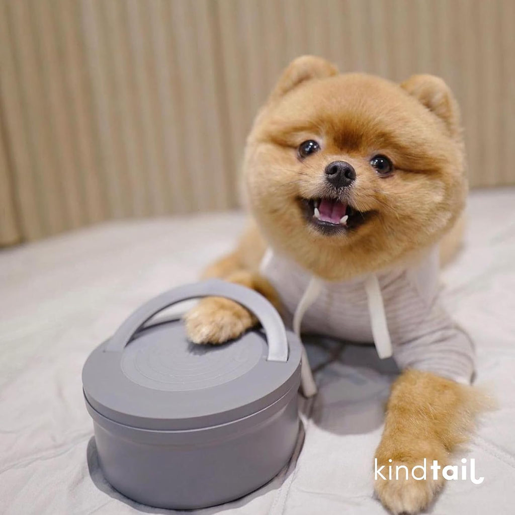 Portable Pet Feeder, Travel Dog Bowls with Lid and Handle, Microwave and Dishwasher-Safe, 10oz Inner Bowl & 20oz Outer Bowl, Grey 