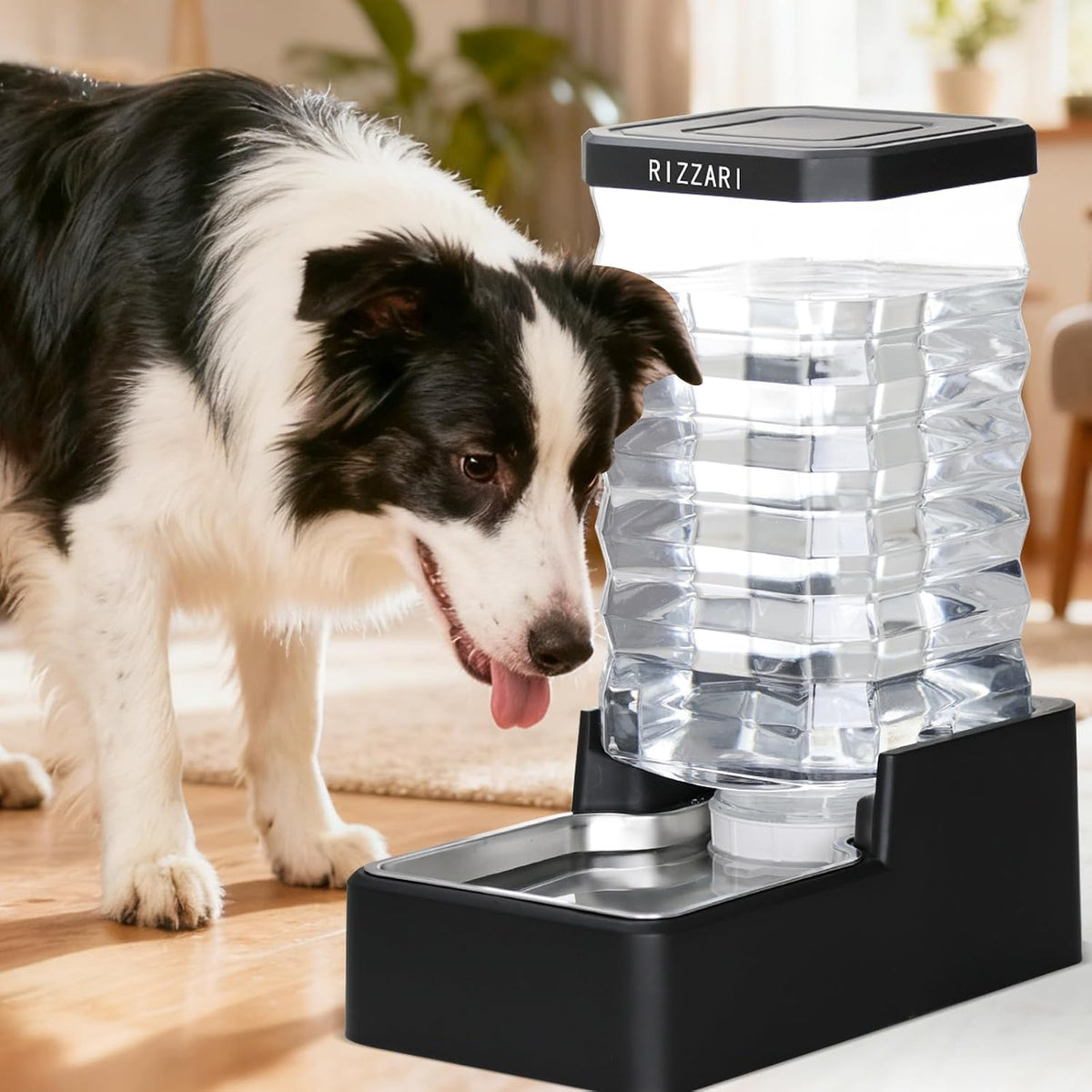 RIZZARI 2.64 Gallon Dog Water Bowl Dispenser:Large for Multiple Dogs