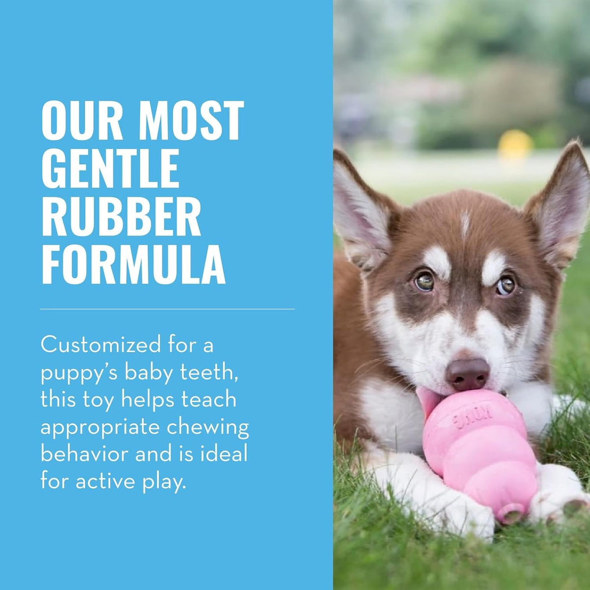 KONG - Puppy Toy Natural Teething Rubber - Fun to Chew, Chase and Fetch - for Medium Puppies - Pink (Pack of 2)