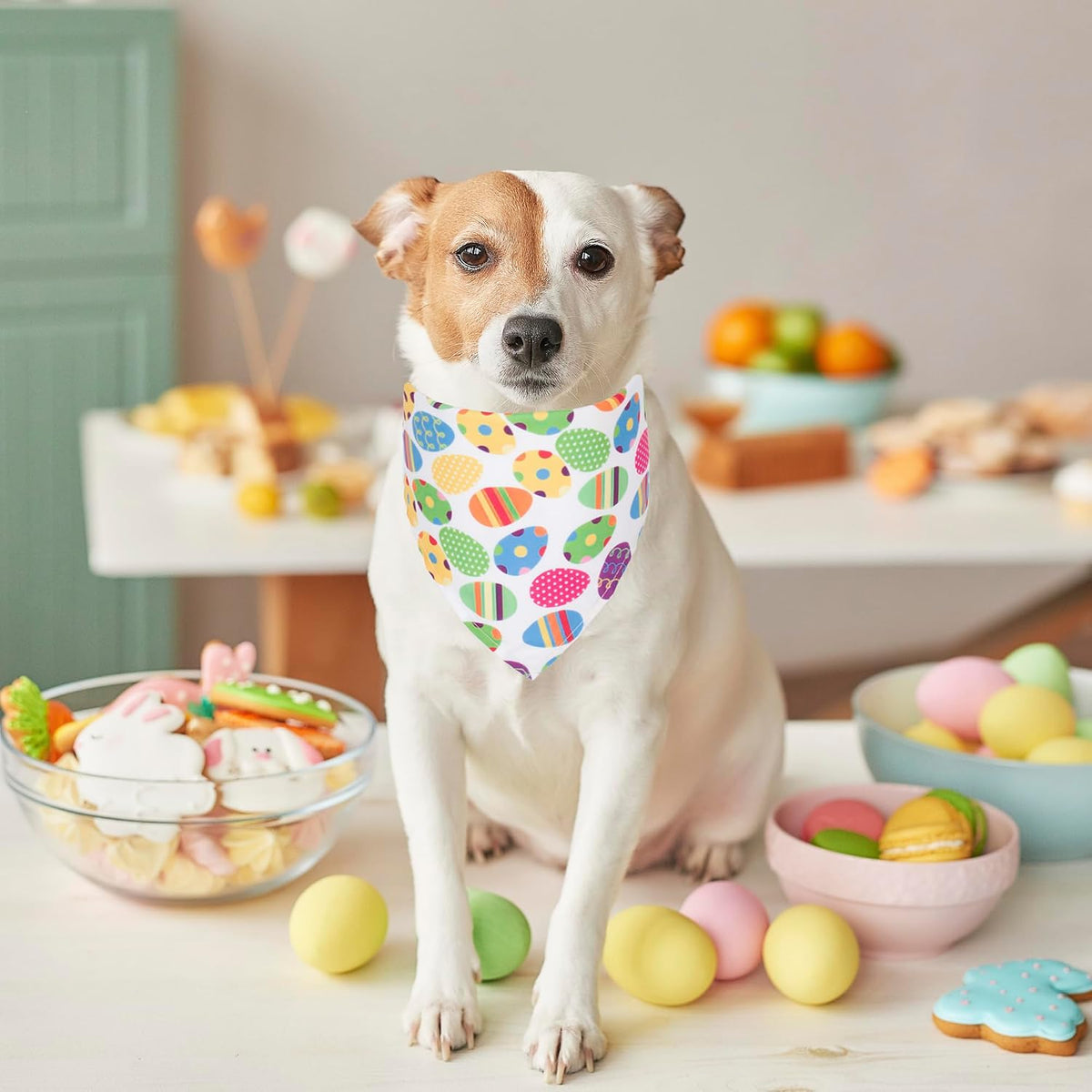ADOGGYGO 4 Pack Easter Dog Bandana Triangle Dog Scarf Rabbit Easter Egg Pattern Pet Bandana for Medium Large Dogs Pets (Large)