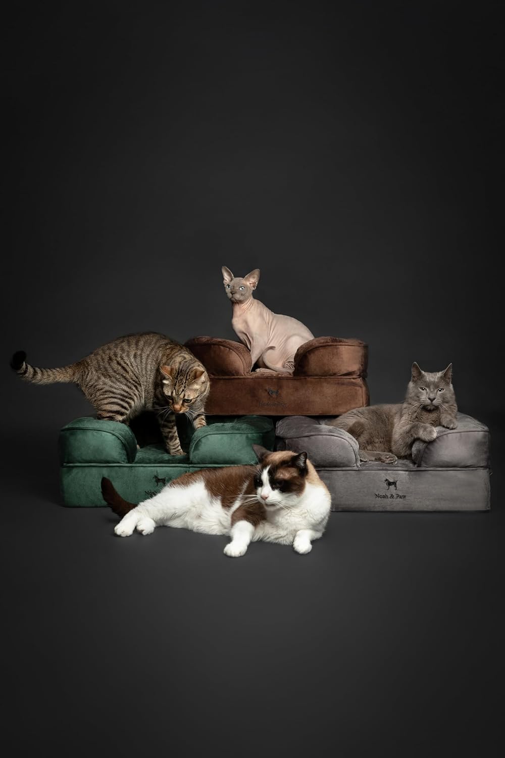 NOAH & PAW Cat Bed, XS Dog Bed, Orthopedic Memory Foam (2X Base) 20x15x8 in