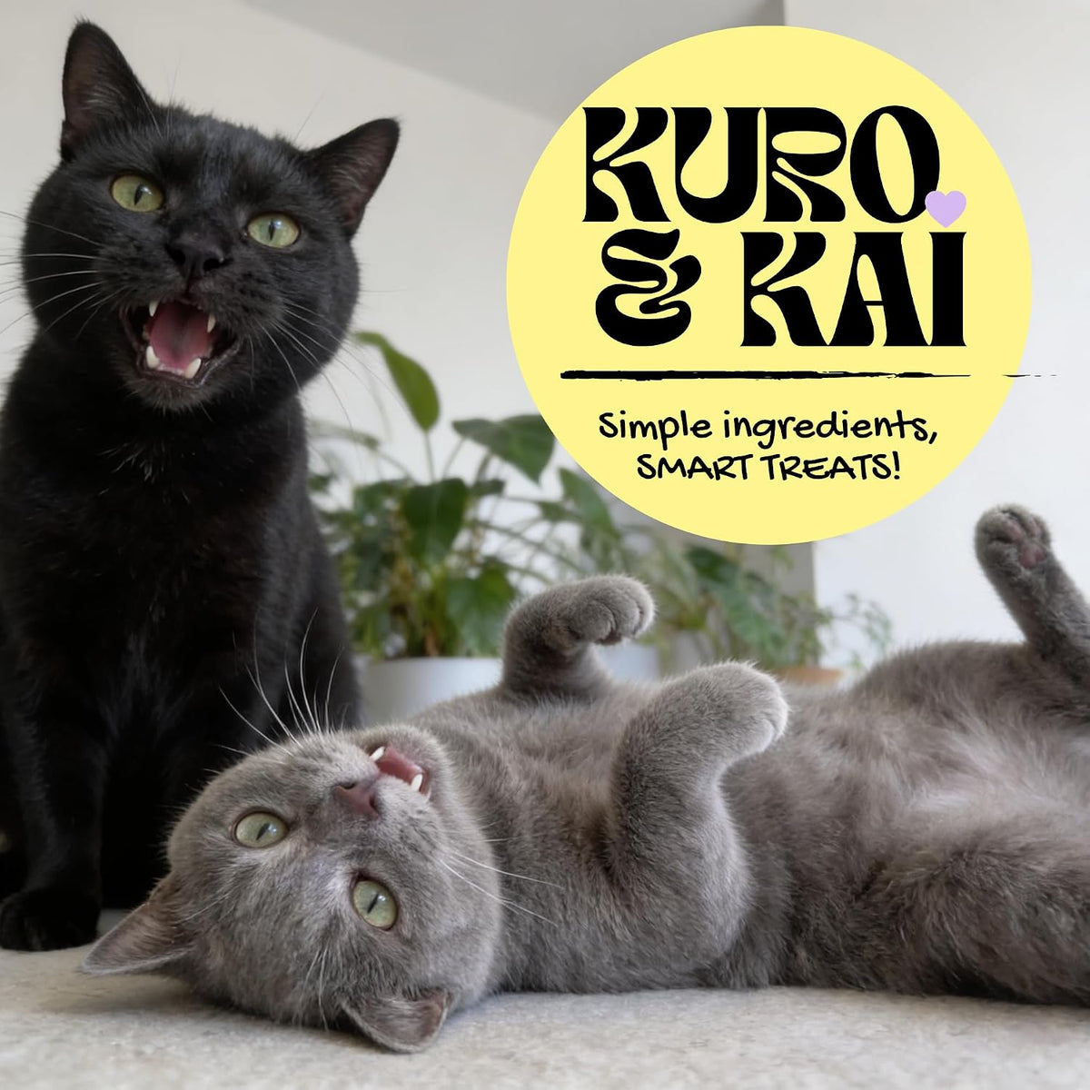 KURO & KAI Freeze Dried Goat Milk Cat Treats, Chicken Lollipops, 15 Count