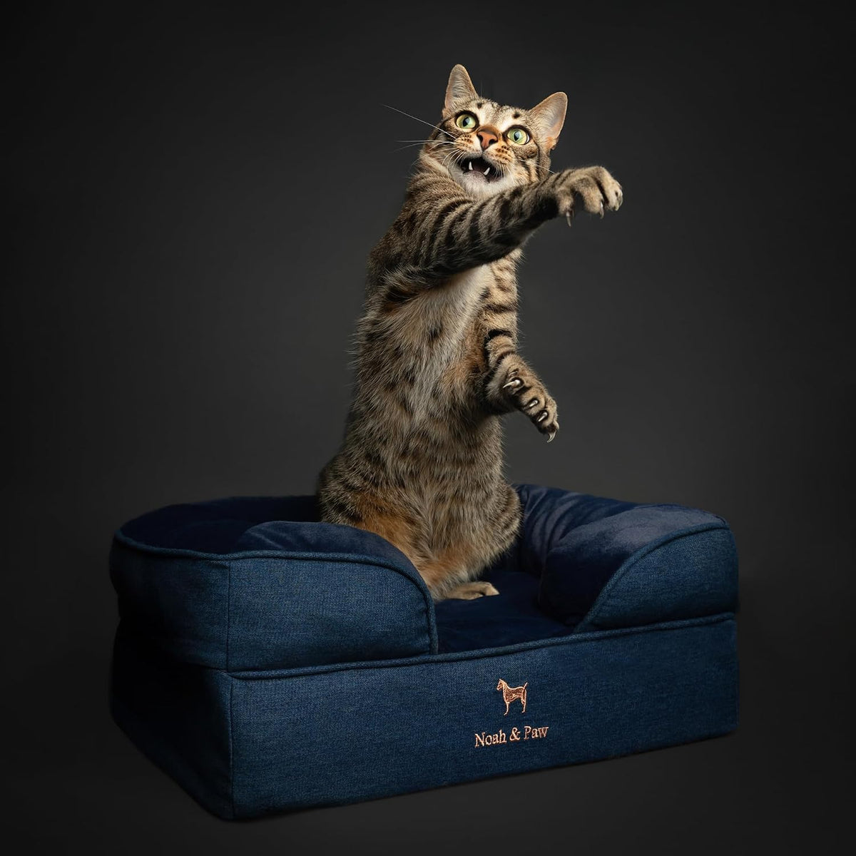 NOAH & PAW Cat Bed, XS Dog Bed, Orthopedic Memory Foam (2X Base) 20x15x8 in