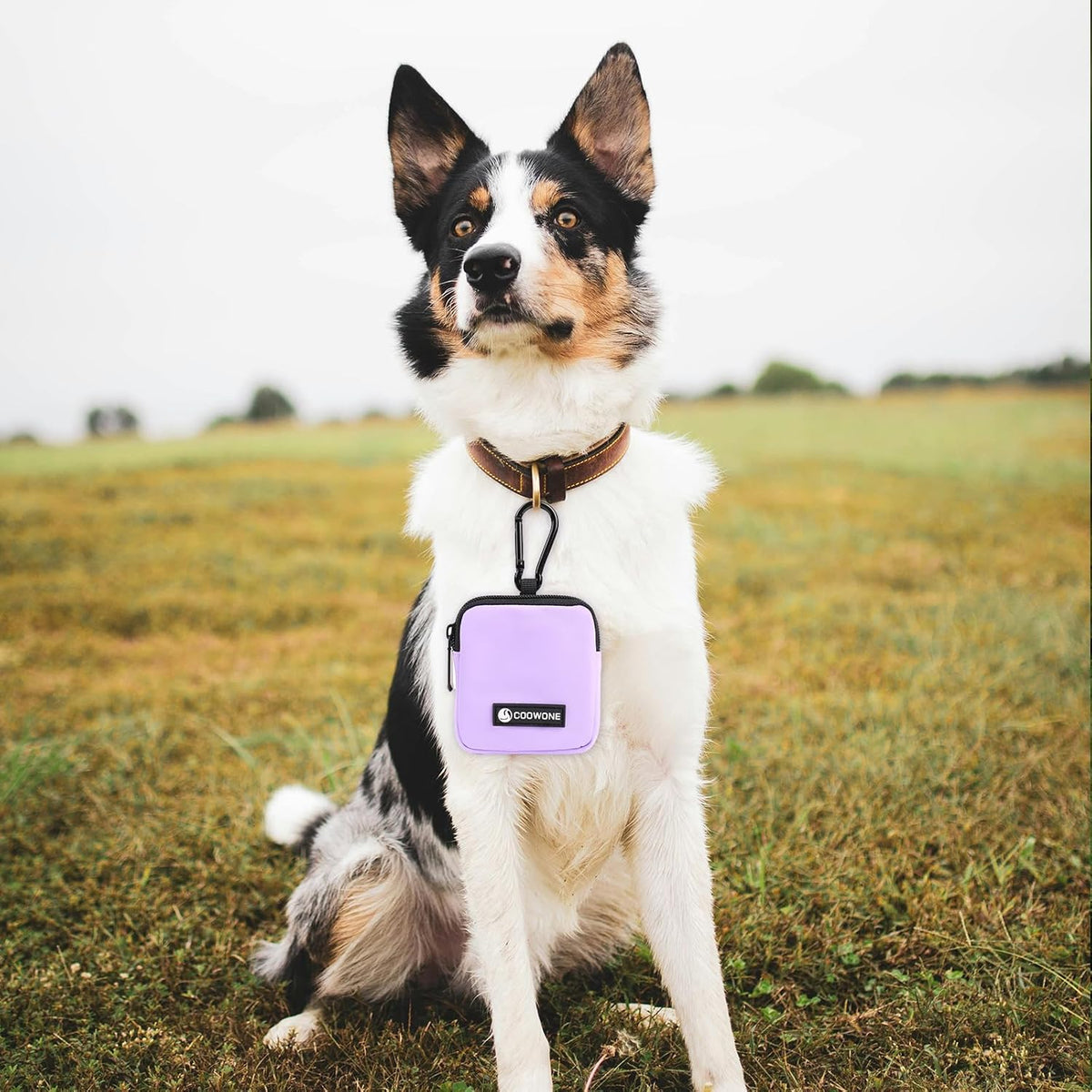 Dog Treat Pouch Pocket Sized Pet Puppy Training Pouch for Dog Training Behavior Aids, Waterproof Nylon Fabric Dog Poop Bag Holder, Hands Free Dog Walking Bag with Metal Carabiner (Violet)