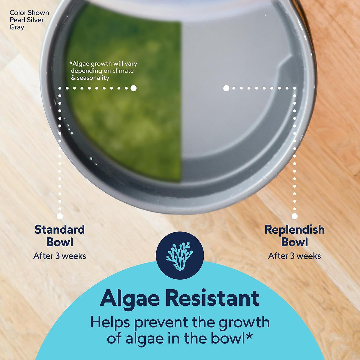 Petmate Replendish Automatic Dog Water Dispenser, 2.5 Gal, 2 Filters