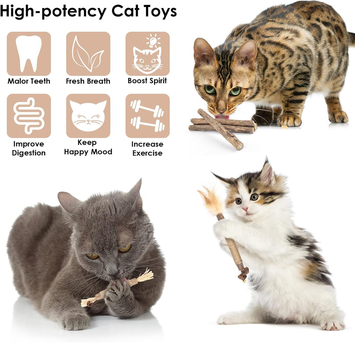 Bissap 10PCS Silvervine Catnip Chew Sticks, Interactive Toy for Cat Kitten