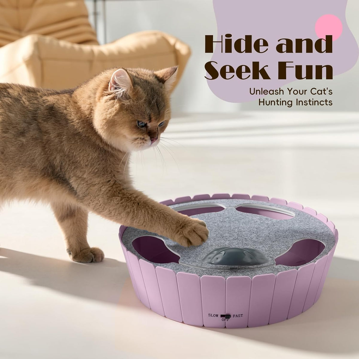 Pawaboo Interactive Cat Toy with Running Mouse, Automatic Track Kitten Toy