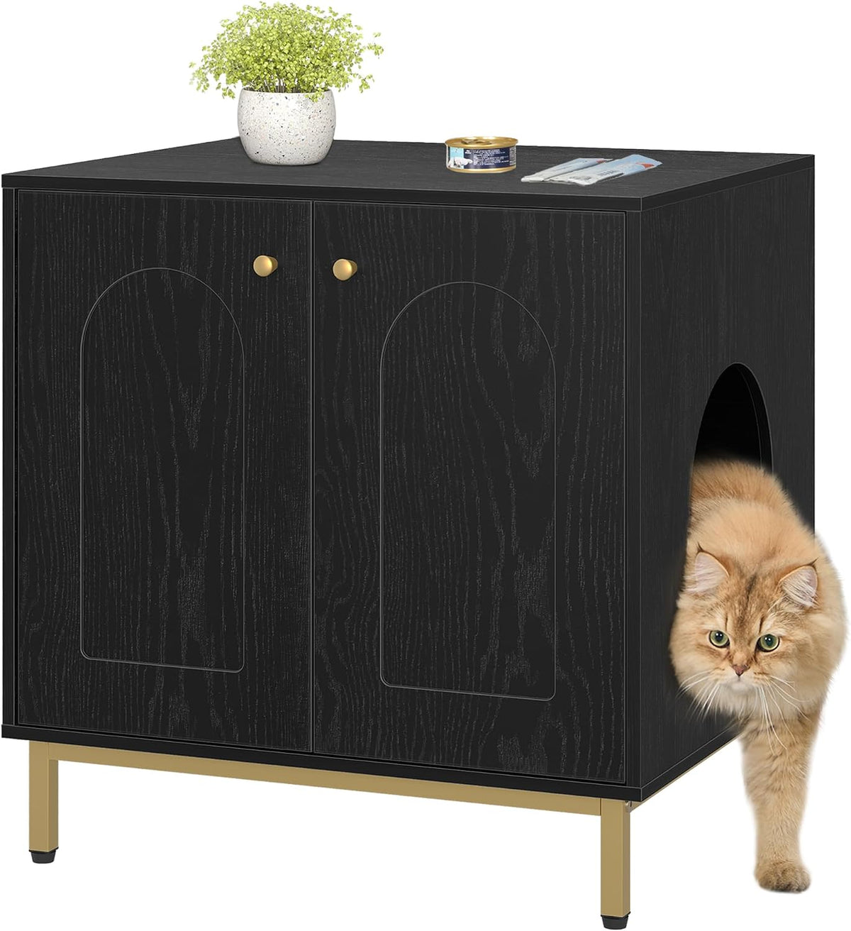 Hzuaneri Cat Litter Box Enclosure, Hidden Litter Box Furniture, Sisal Mat | Wooden Indoor Cat Cabinet, Modern Cat Washroom, Side End Table, for Living Room, Bedroom, Black CB81204G