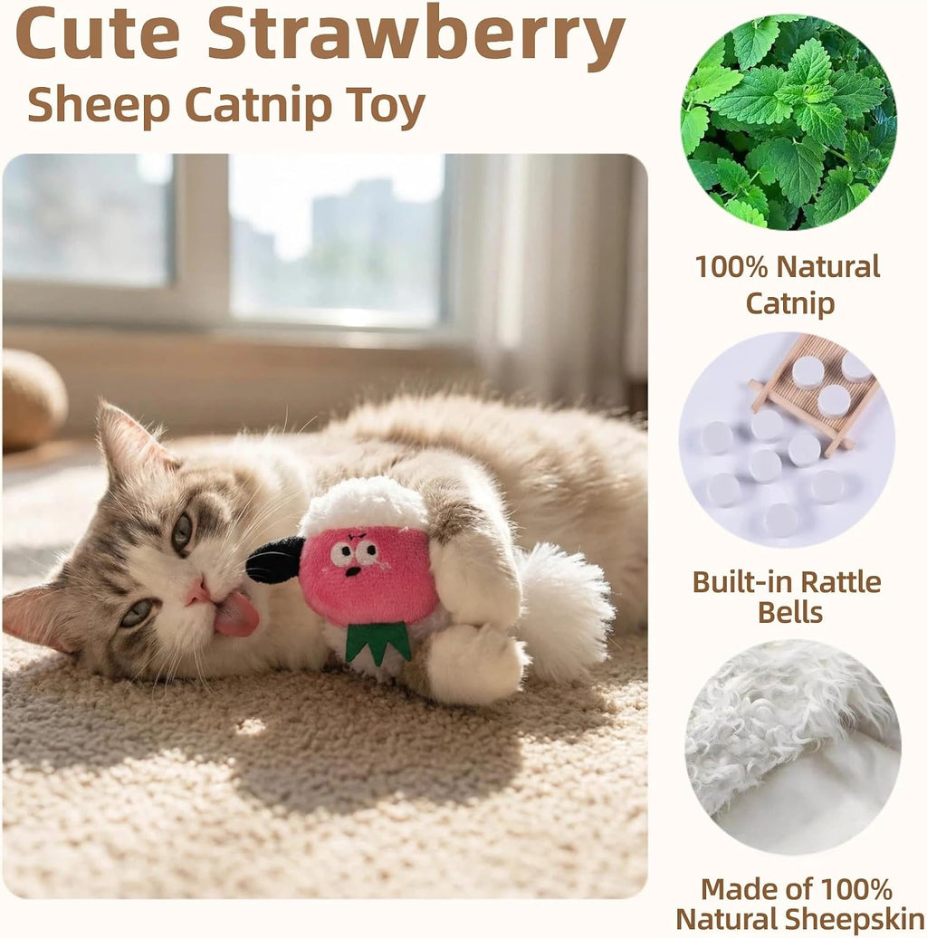 Catnip Toys for Cats, Silvervine Interactive Cat Toy Set