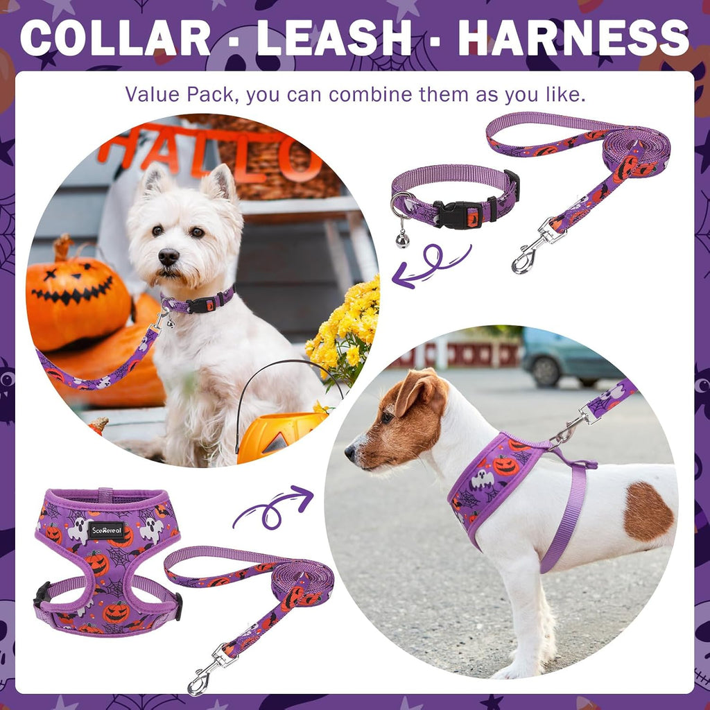 SCENEREAL Halloween Small Dog Harness and Leash Set