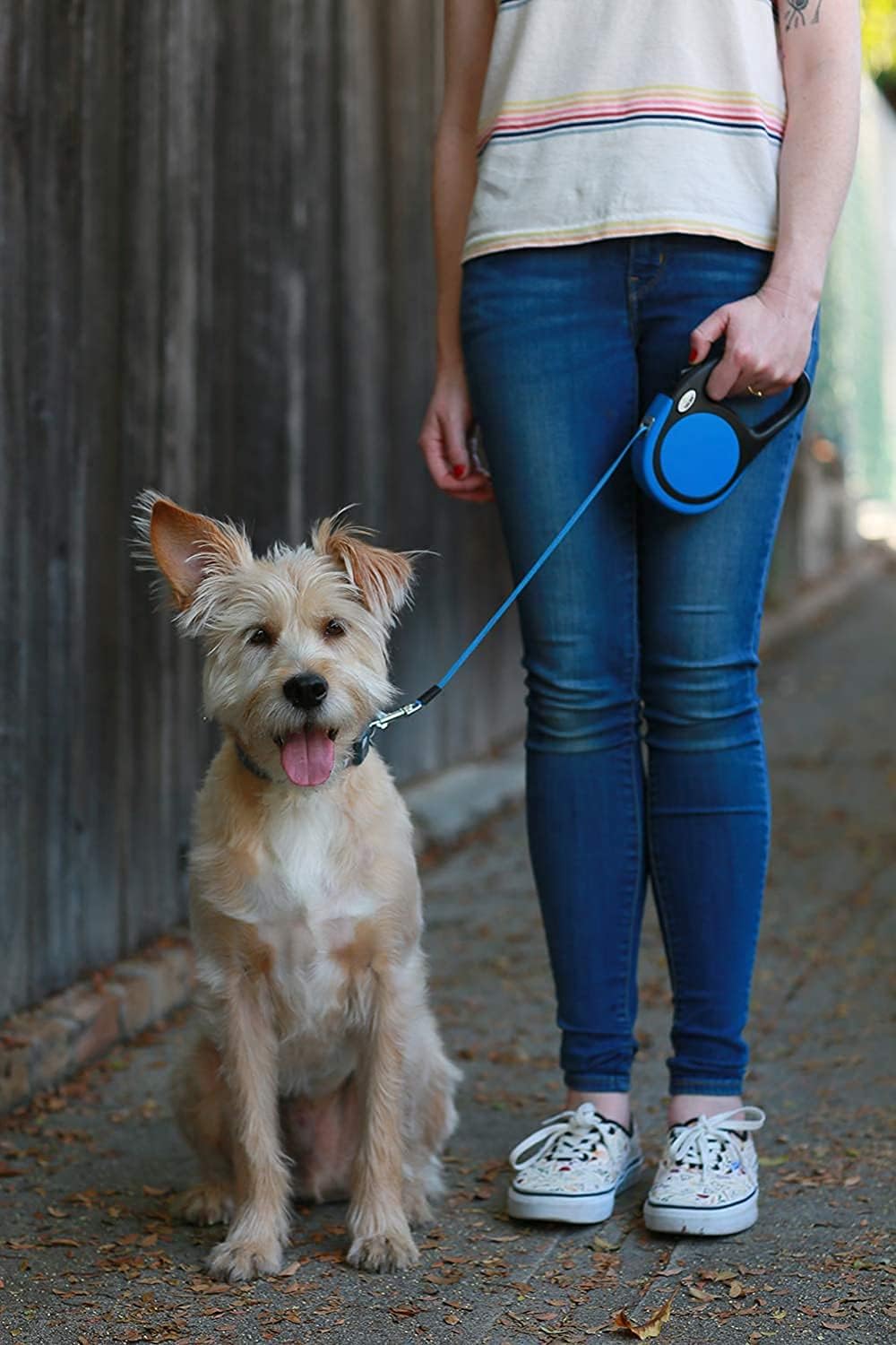 Taglory Retractable Dog Leash, One-Handed Brake, 16ft, Up to 44 lbs, Blue