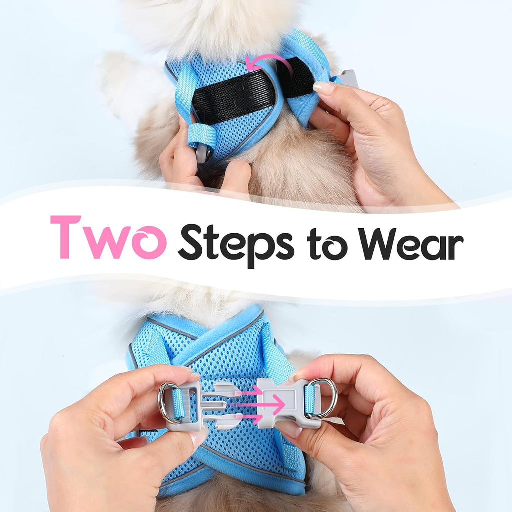 Dooradar Cat Harness and Leash Set, Easy-on Vest, Pink & Blue